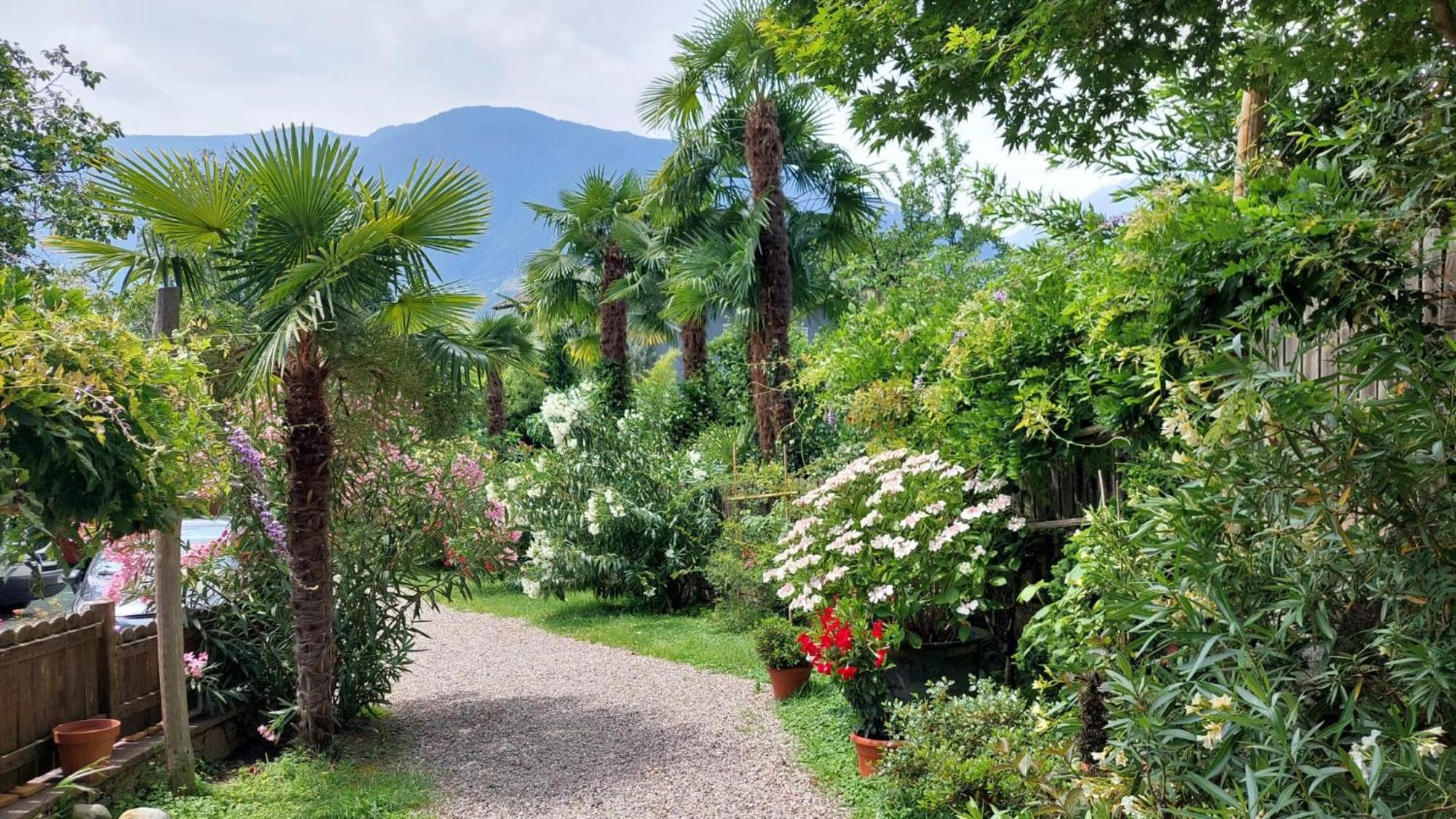 Nora S Home 2 - Panoramic Terrace & Bio Garden Merano Exteriér fotografie